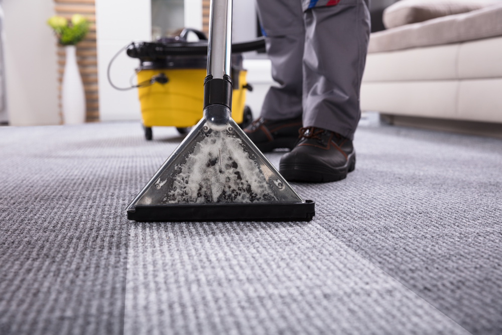 Lavado de Alfombra y Tapetes – Cleanmexx